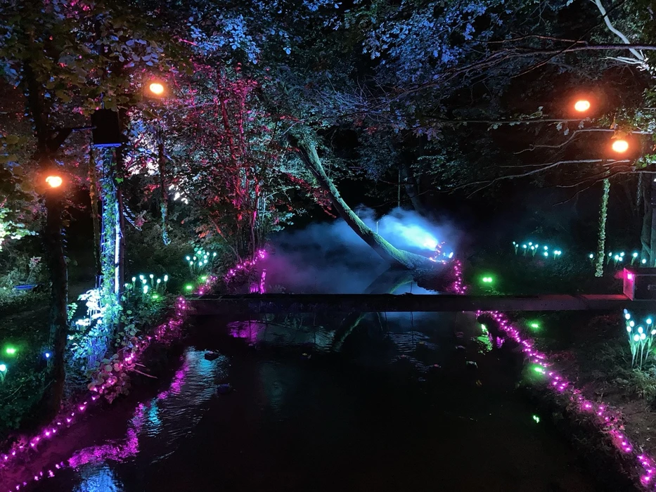Jardin nocturne illuminé avec plan d'eau central reflétant des lumières colorées