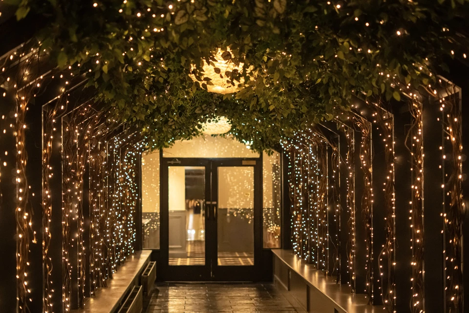 Forêt nocturne illuminée par des projecteurs LED roses et magenta projetés sur les arbres