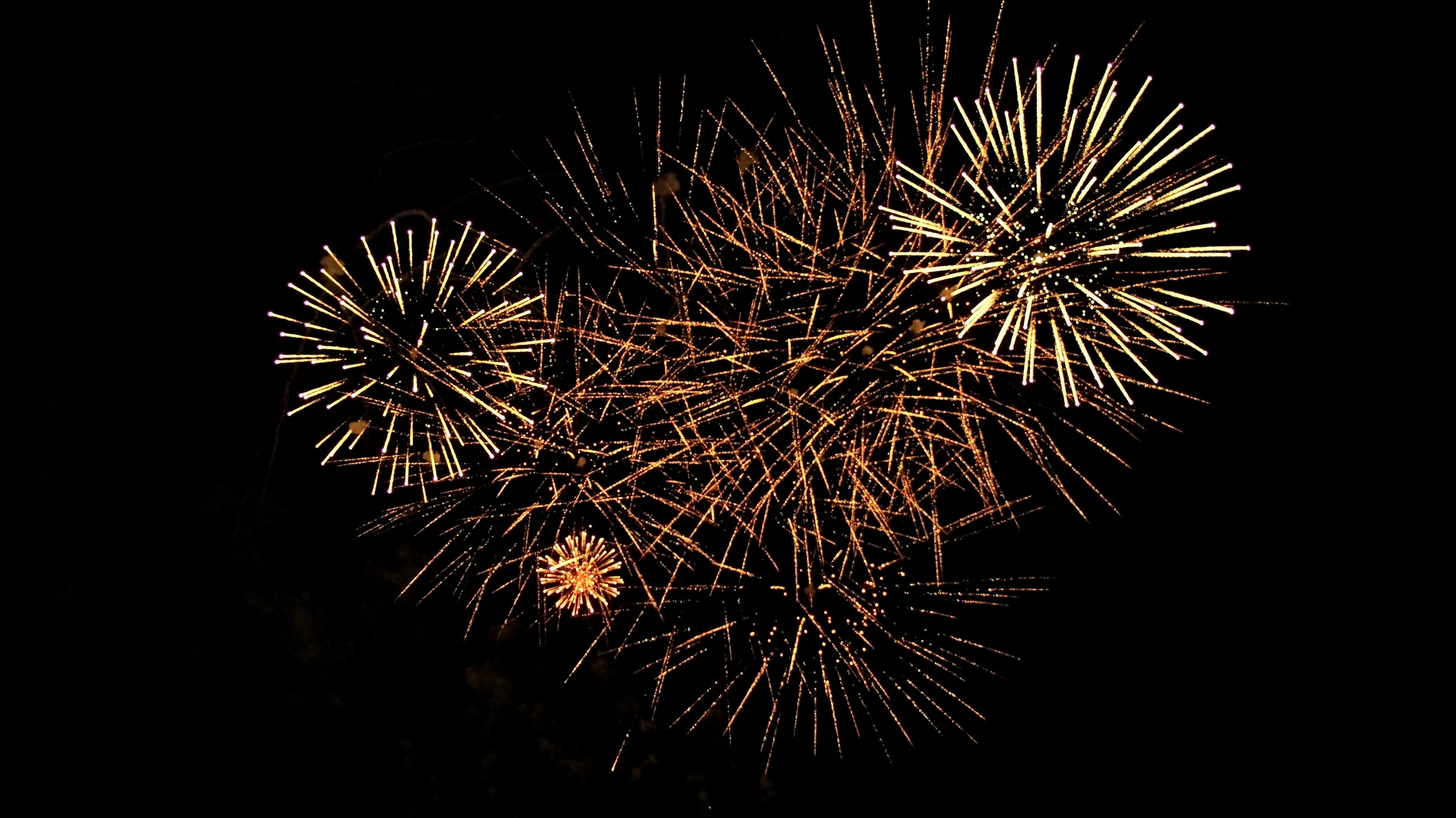 Spectacle pyrotechnique nocturne avec feux d'artifice multicolores explosant dans le ciel noir